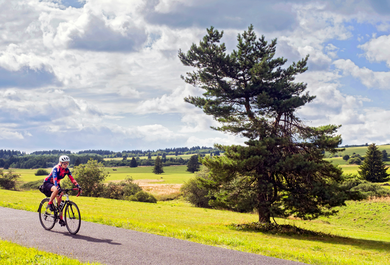 Foto: ©Martin Kirchner