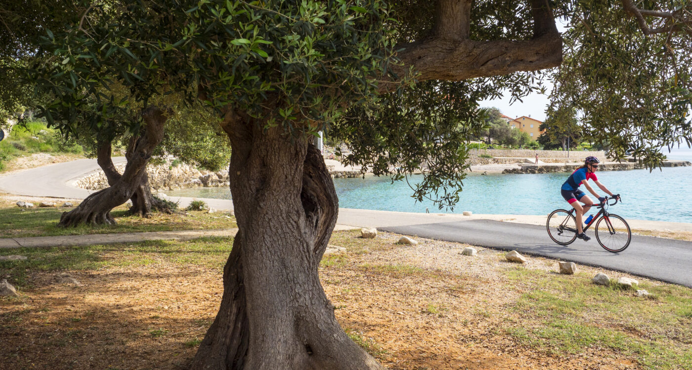 Foto:©Martin Kirchner