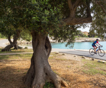 Foto:©Martin Kirchner